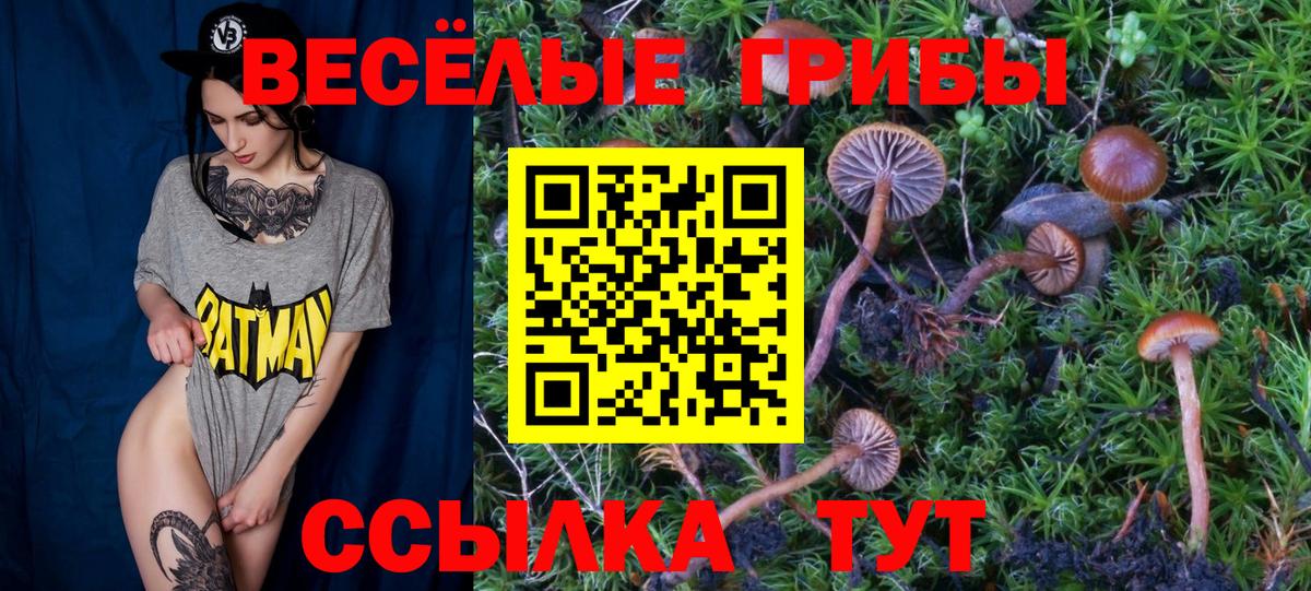 Псилоцибиновые грибы ЛСД  Галлюциногенные грибы Psilocybe  Вход с VPN  Сибай 